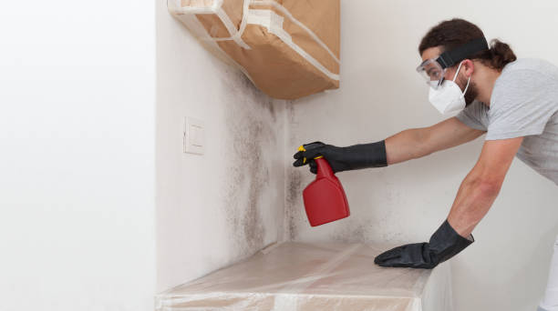 Professional Basement Mold Remediation technician working in Sims, NC