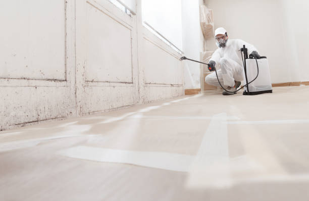 24/7 Emergency Basement Mold Remediation experts in Sims, NC