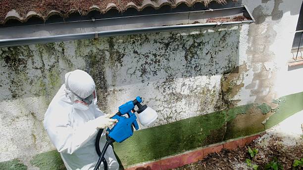 Trusted Mold Remediation service in Sims, NC - Cheap Mold Removal
